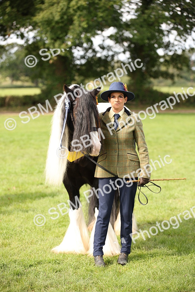 SBM_62968 - In Hand Horse Supreme Championship