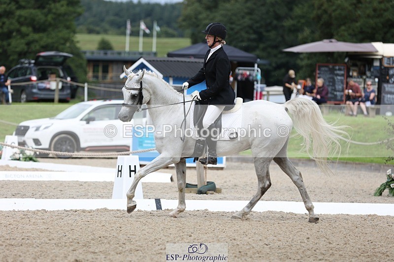 230813-103614-06330 - Cls 11 Elem Bronze Start to 10.50 break