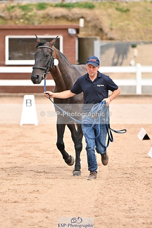 250716-150748-01660 - Trot Up 2.30 to 3.30