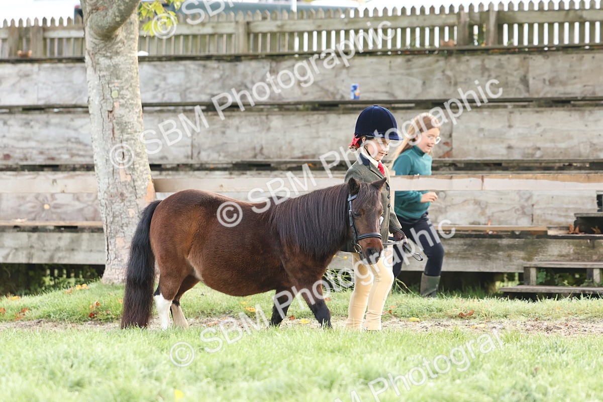 SBM_54476 - S38 - Starters Best Turnout