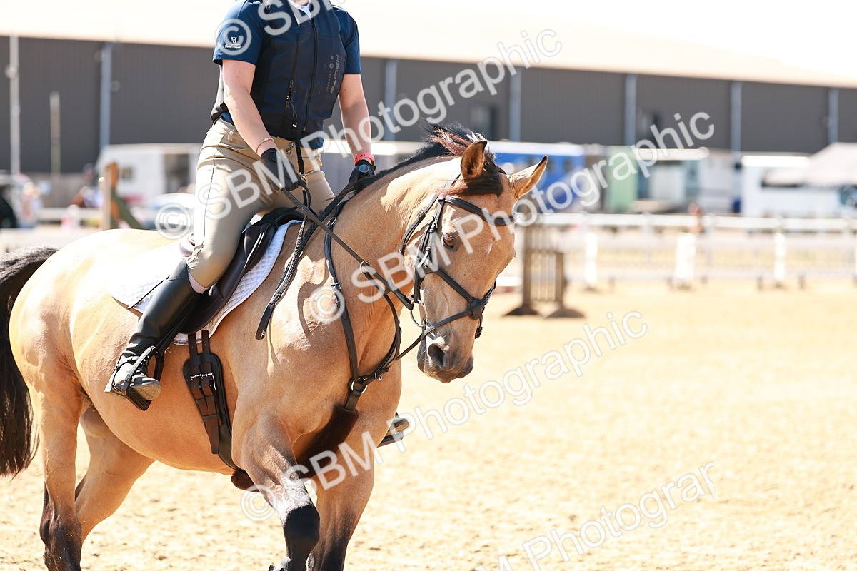 SBM_000719 - AE - 50cm