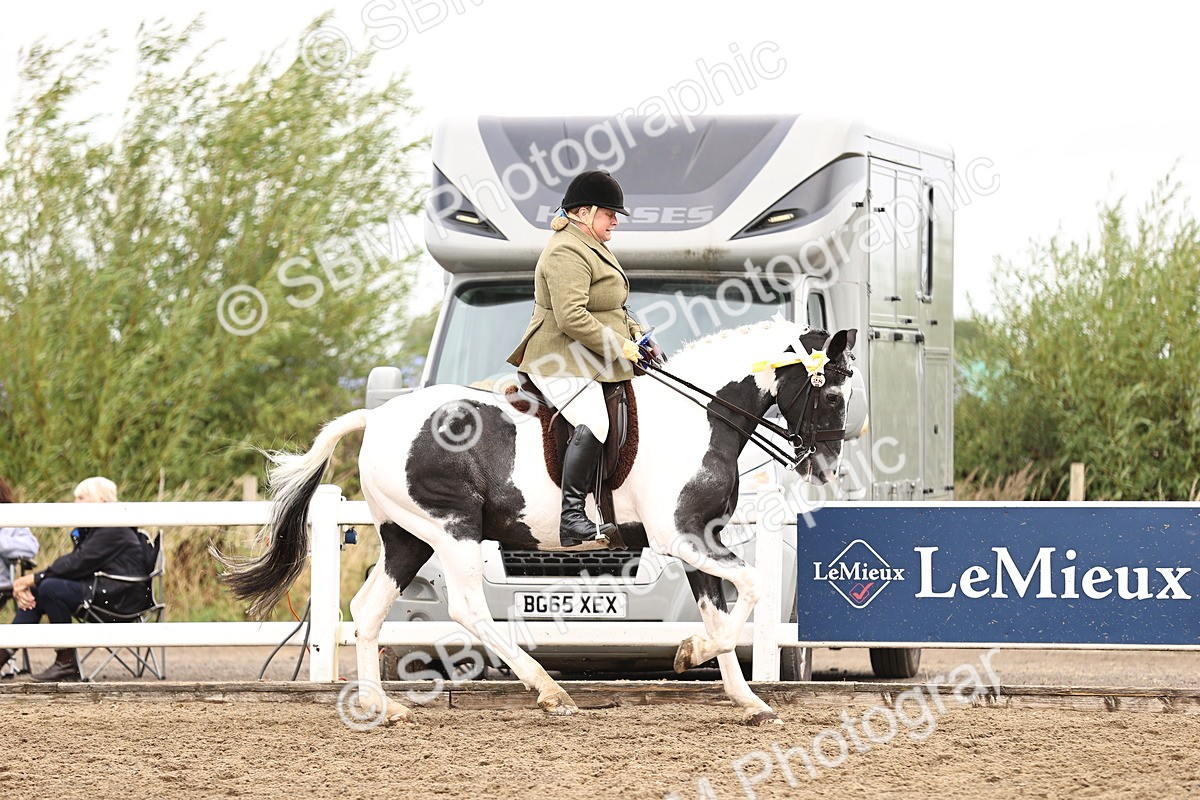 SBM_01459 - Class 54 - Riding Club Horse Pony
