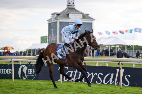 yr11052022r6-9 - Race 6 4.45pm Conundrum HR Consulting Stakes