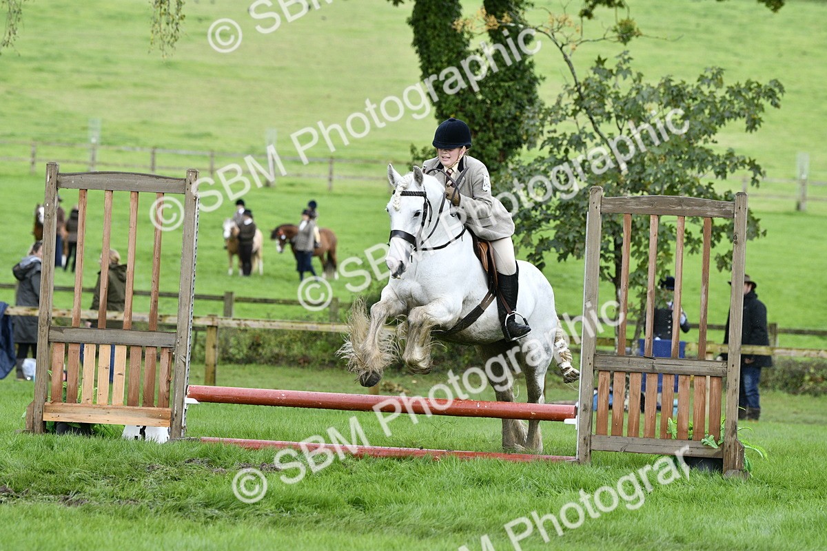 SBM_41535 - S32 - Mountain & Moorland Working Hunter Pony