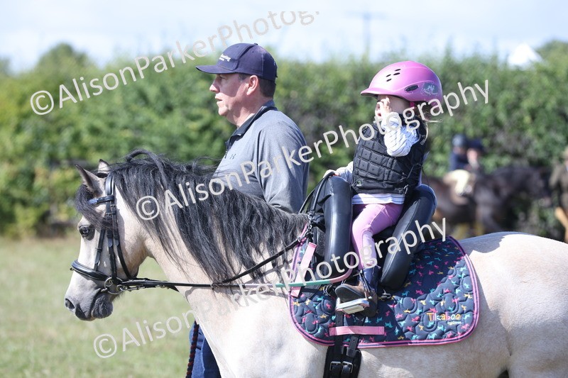 20250831-3114 - Class 24 - Absolute Beginners Pony