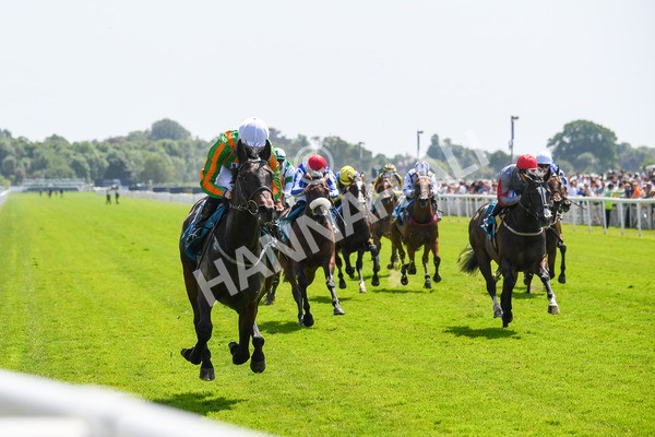 270523-Race 2-Native American-0312 - Race 2 2.10pm Collective Green Energy EBF Restricted Novice Stakes