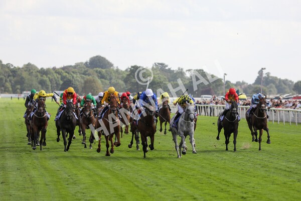 yr20082022r4-189 - Race 4 3.35pm Sky Bet Ebor