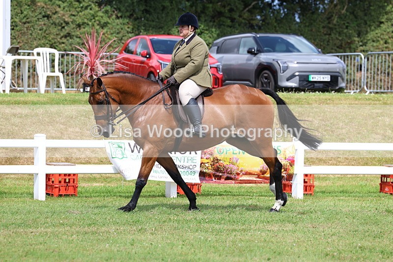 3E7A0591 - Rising Star Ridden Championship