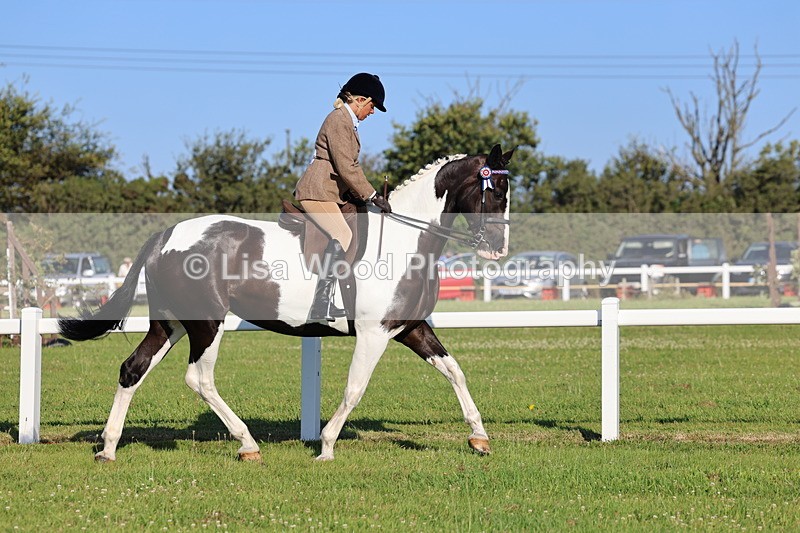 IMG_1190 - Class 27: Ridden Plaited Coloured Horse