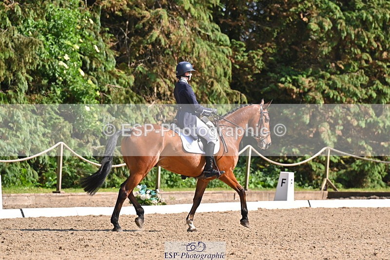 250523A-163234-08084 - B-378-Molly.Brown-KILRUSH.RED