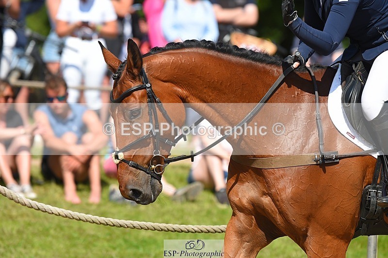 230528-102534-14936 - 253-MY_EASTWOOD_BRIGHTSIDE-Darcy_Zander-SJ