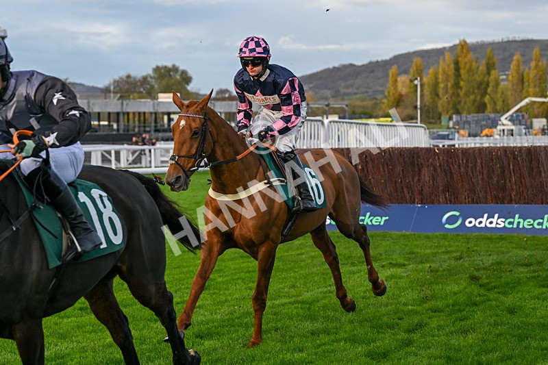 241025-Race 7-Harrys Hope-5874 - Race 7