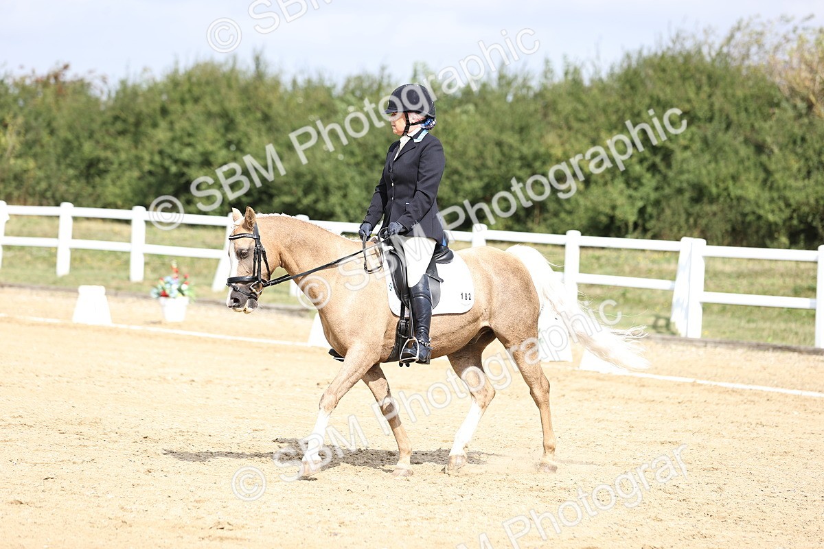 SBM_016205 - Class 14 - Novice 23 - 10.29-11.32