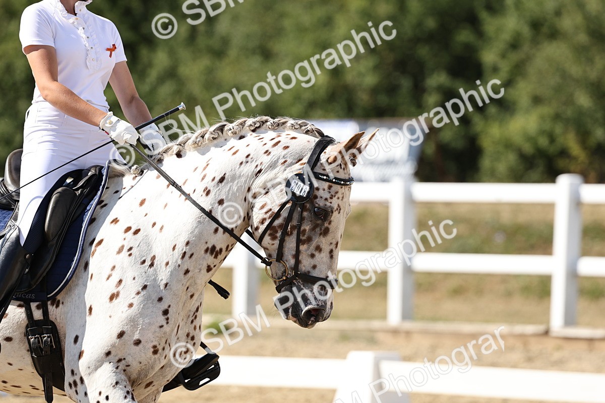 SBM_003968 - Prelim 4 - 16.21-17.31