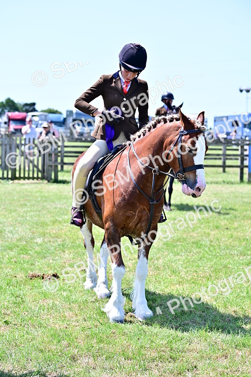 SBM_15431 - Class 95-97 - BSPS LHS Performance Ponies