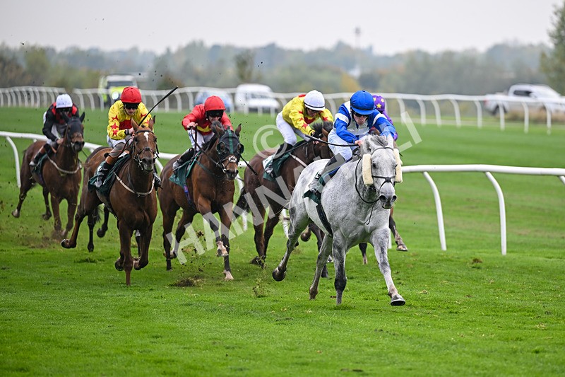 181025-Race 5-Mudamer-0828 - Race 5