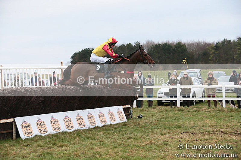 PtP 060119 483 - Larkhill Racing Club - Point-to-Point- 06/01/2019