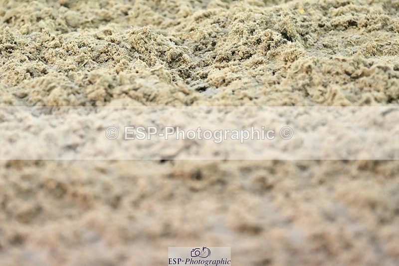 241103-163558-03036 - Prelim 2 - 15.59 to 17.10