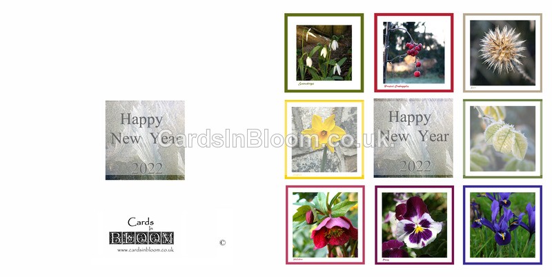 01 Happy New Year - New Year Cards