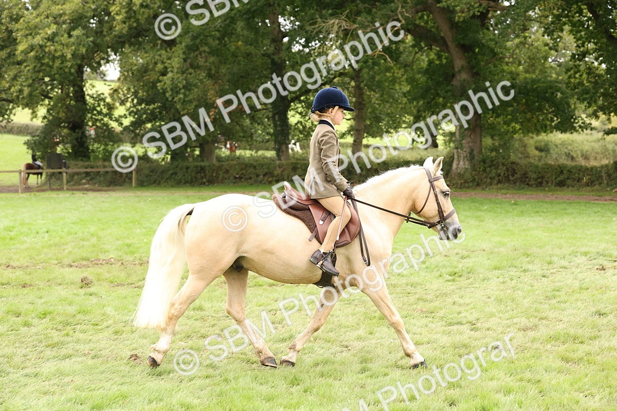 SBM_63042 - S64 - Foreign Breeds Ridden