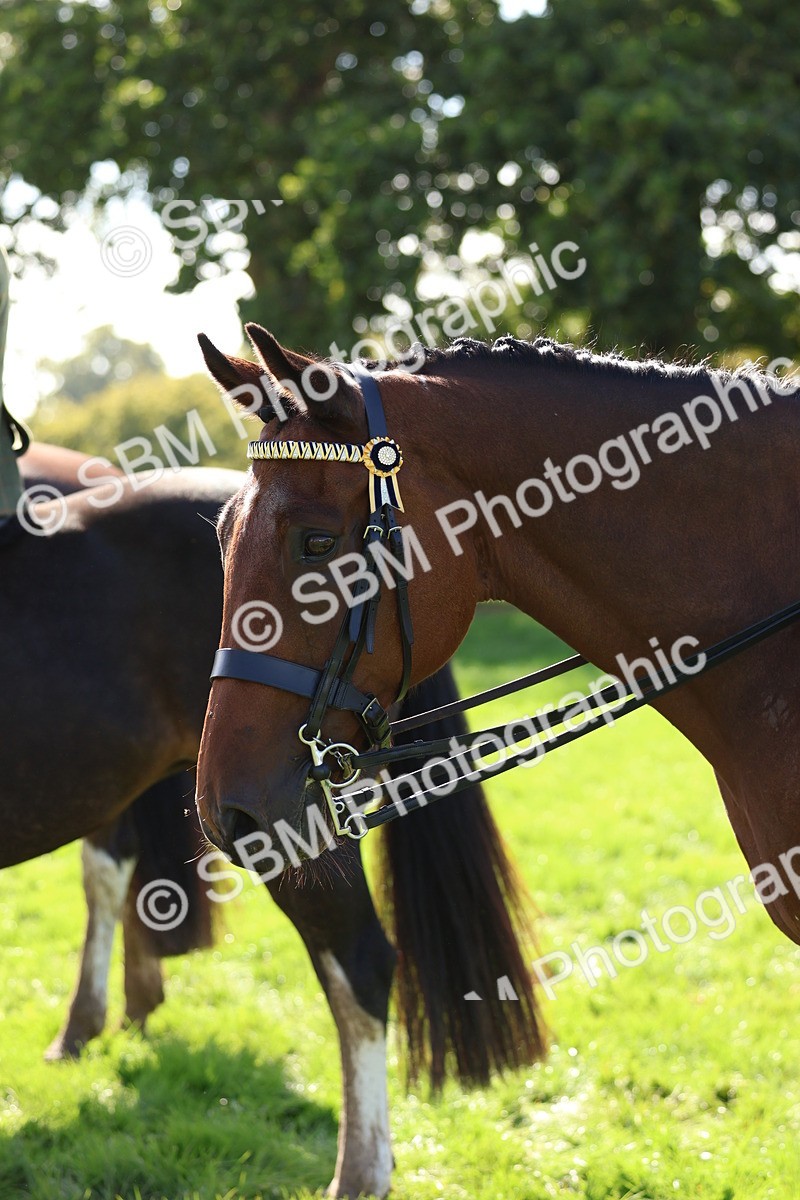 SBM_45287 - S27 - Young Veteran Ridden