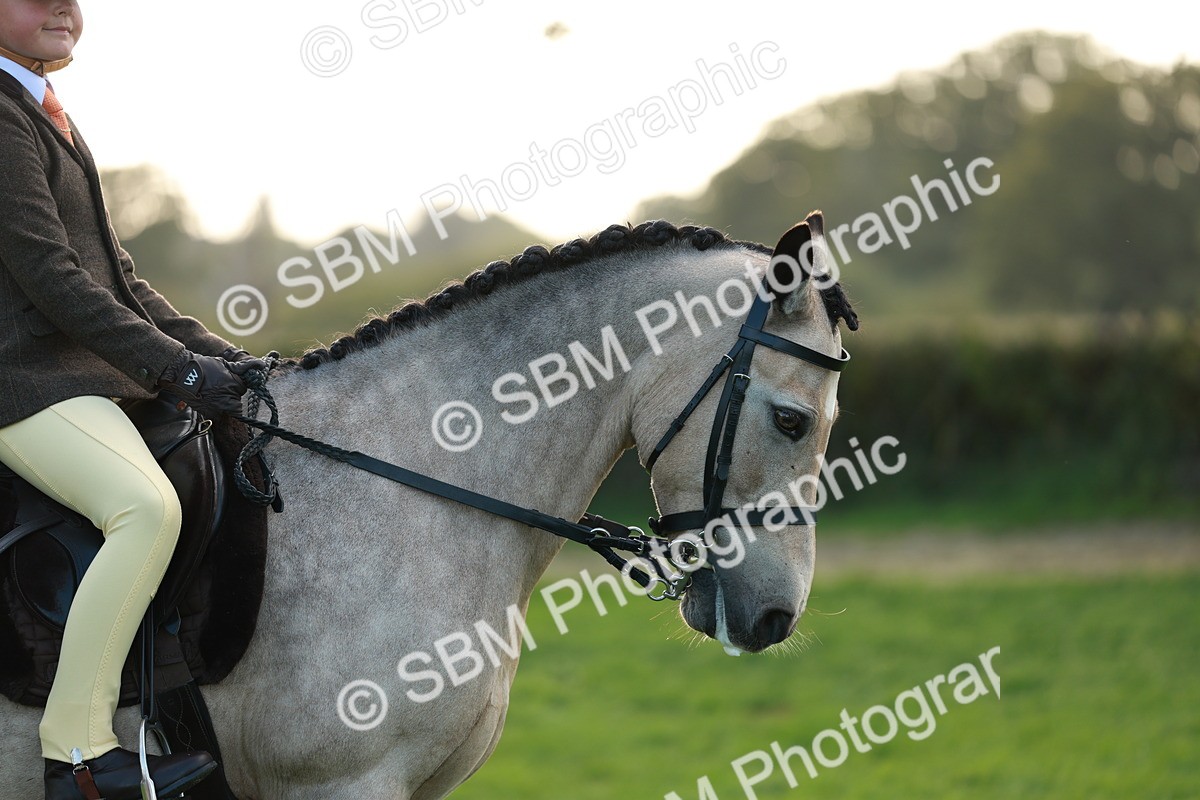 SBM_28816 - S7 - Novice & Newcomer Ridden Pony