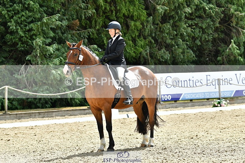 260801A-124606-04052 - Prelim Bronze Break - End