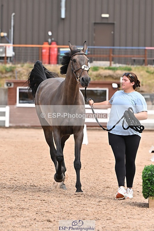 250716-142434-01064 - Trot Up 1.30 to 2.30
