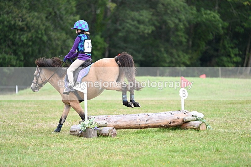 WJ7_7169 - 40cm Time 10:06 to 10:24