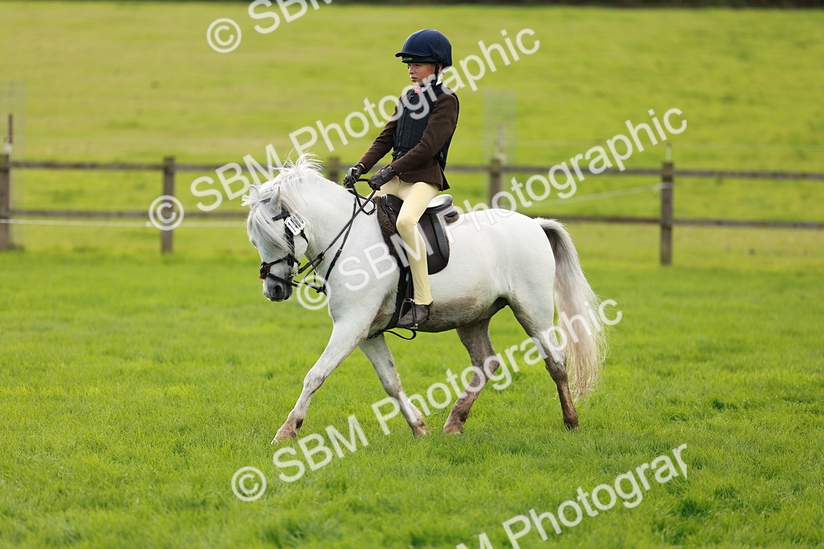 SBM_41764 - S32 - Mountain & Moorland Working Hunter Pony