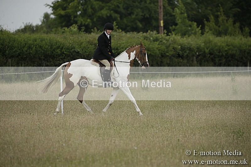 B230619-0205 - Bourne Valley Riding Club Summer Show 23/06/19