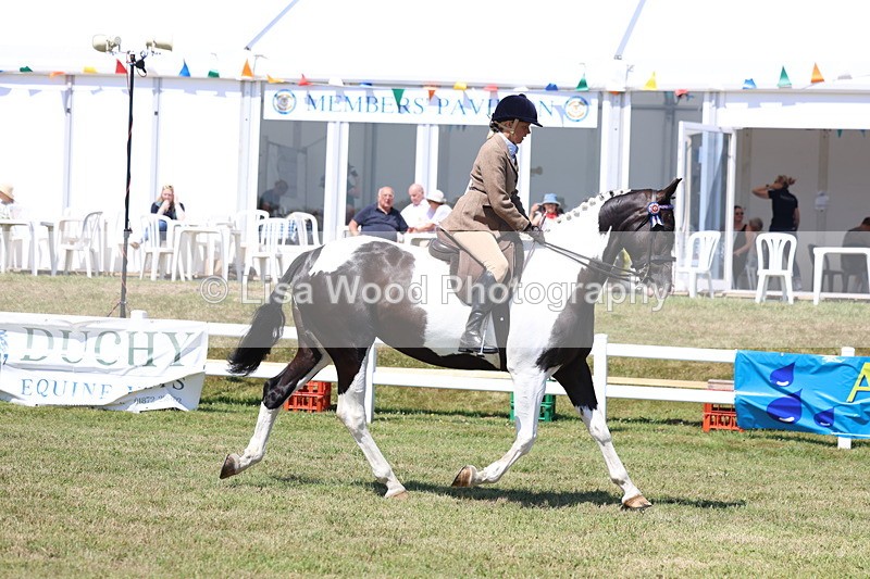 3E7A7697 - Class 7: Open Riding Horse