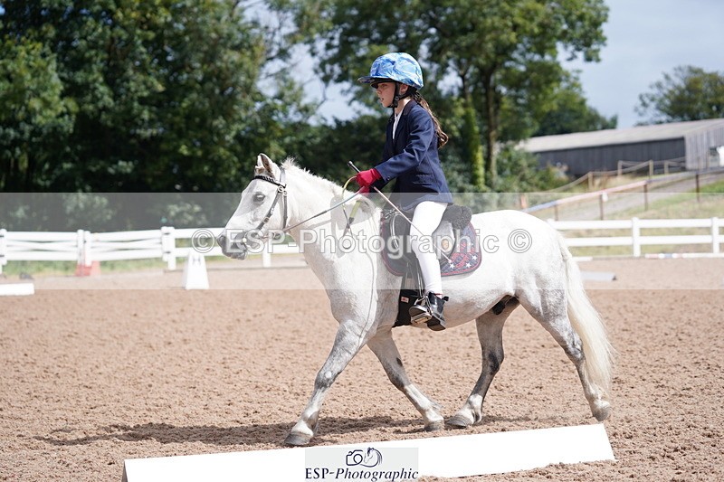 240809A-105704-00682 - Dressage Competition
