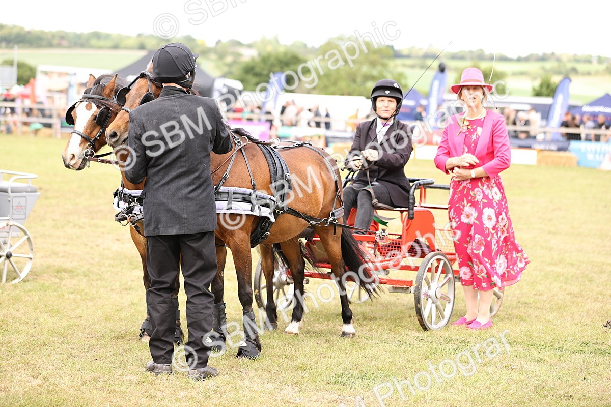SBM_16119 - Class 91 - Scurry  exceeding 122cms