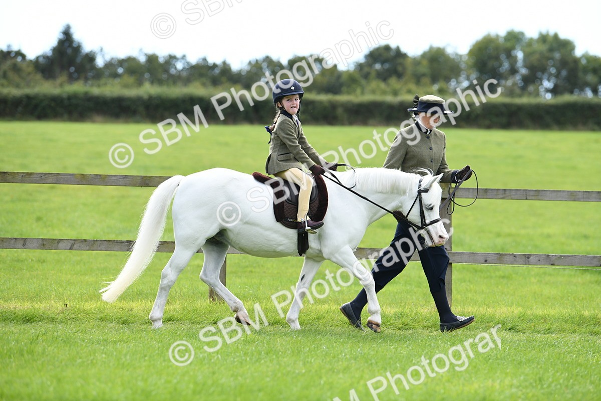SBM_42475 - S20 - Lead Rein Mountain & Moorland Pony