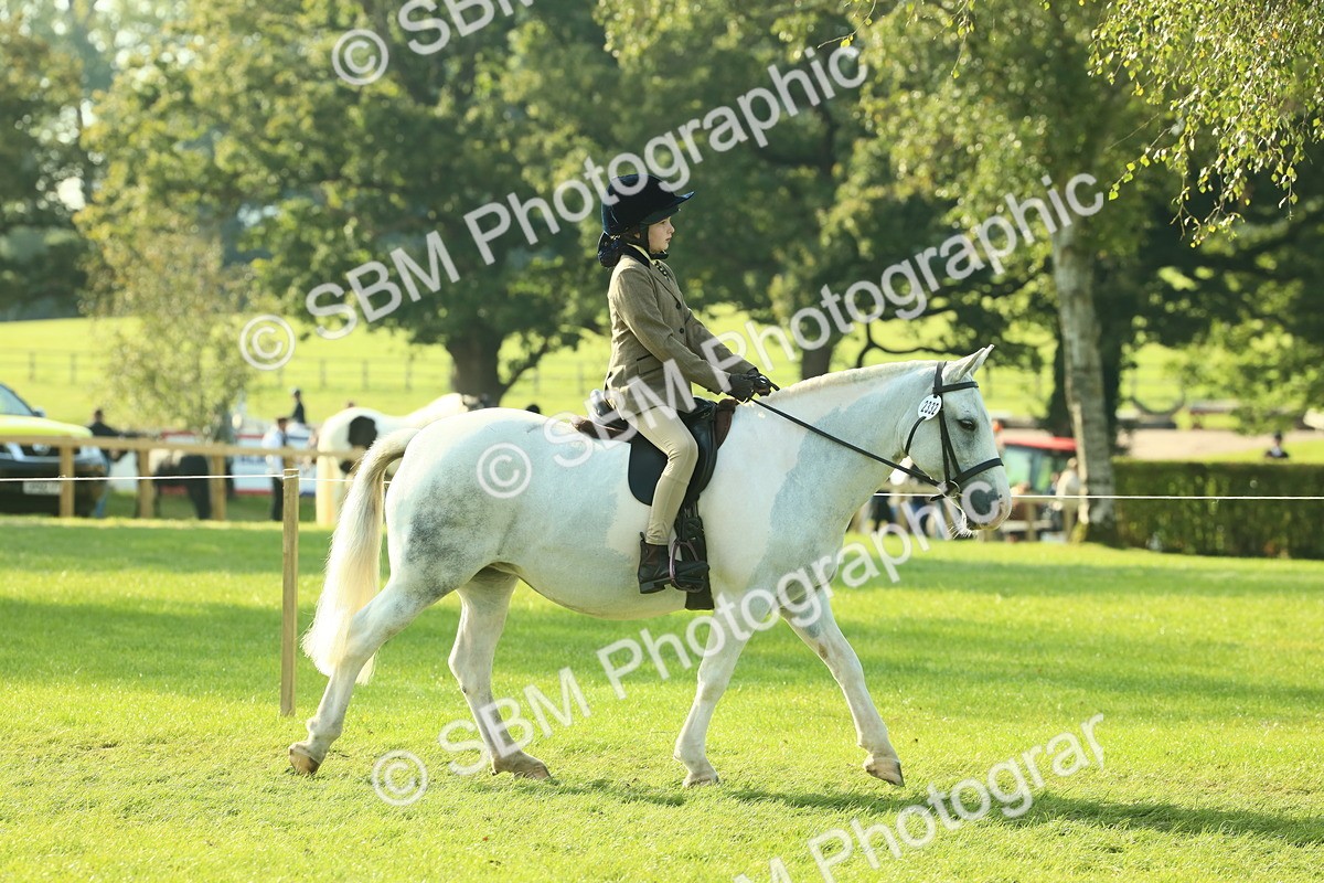 SBM_59305 - S38 - Starters Ridden Showing