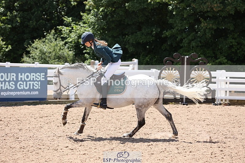 240629A-133823-06465 - Cls 19 Foxhunter and 1.10m Open
