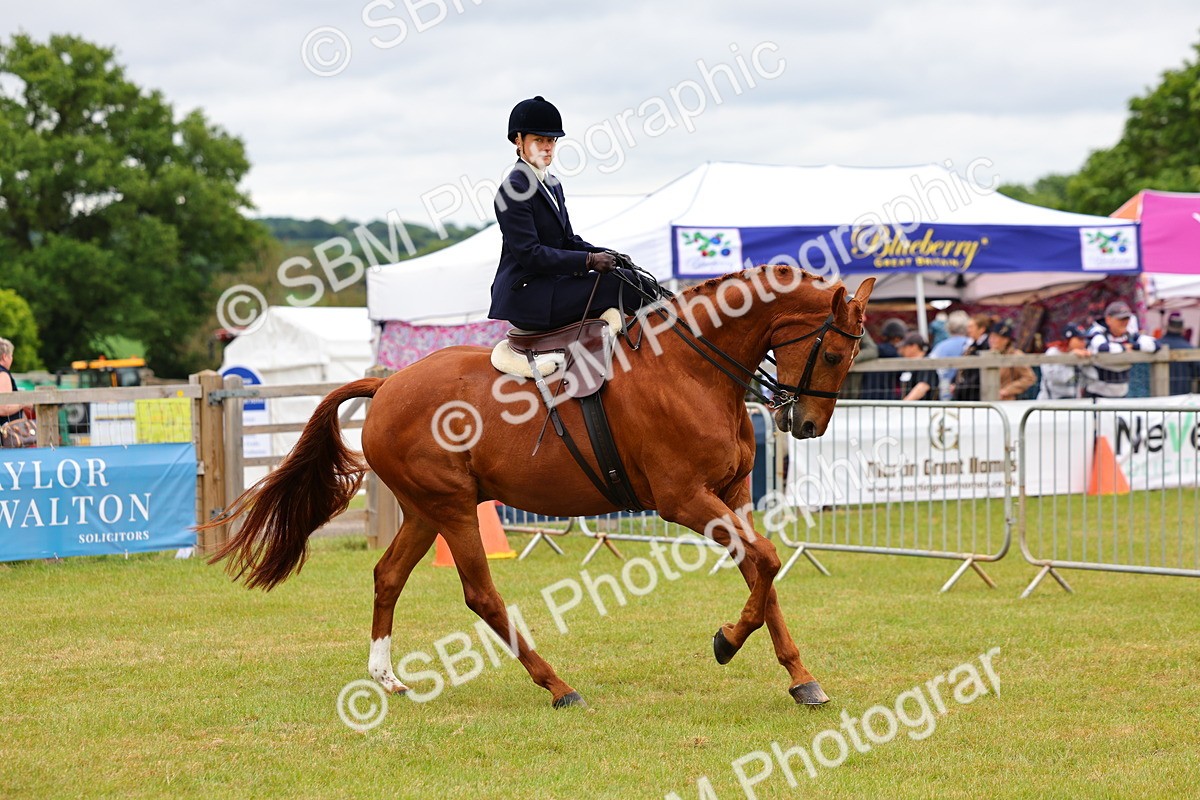 SBM_02875 - Class 9-11 Side Saddle including LIHS Rising Star Ladies Show Horse