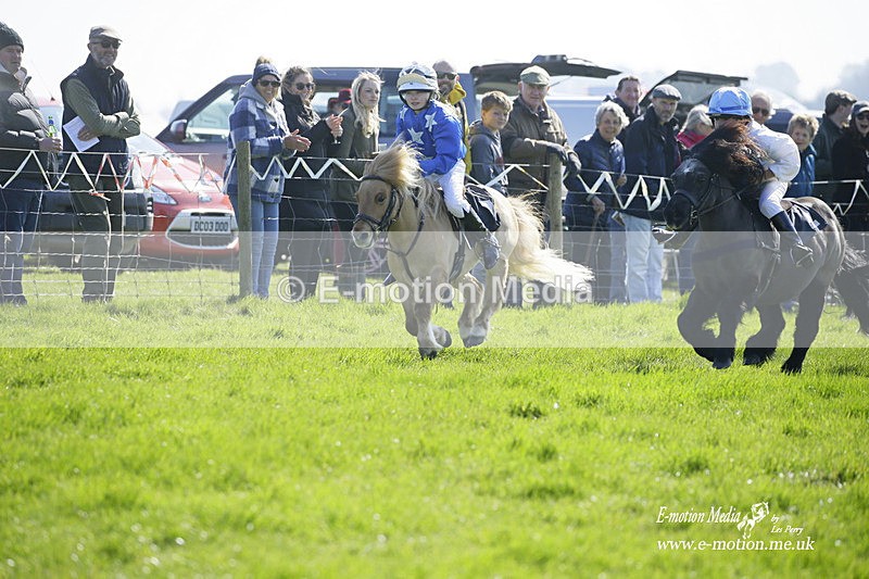 PtP 190322 72 - Wilton Hunt PtP Milborne St Andrew 19/03/22