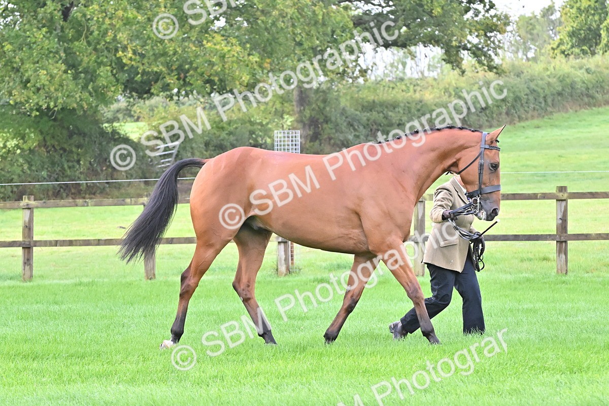 SBM_32625 - S15 - Top Turnout In Hand