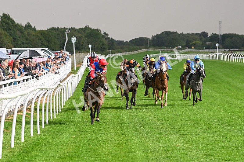 280824-Race 4-Desert Dream-4379 - Race 4