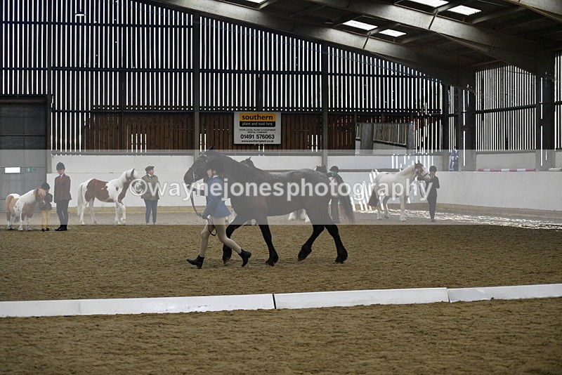 WJ5_4829 - Class 7 In hand coloured / odd coloured