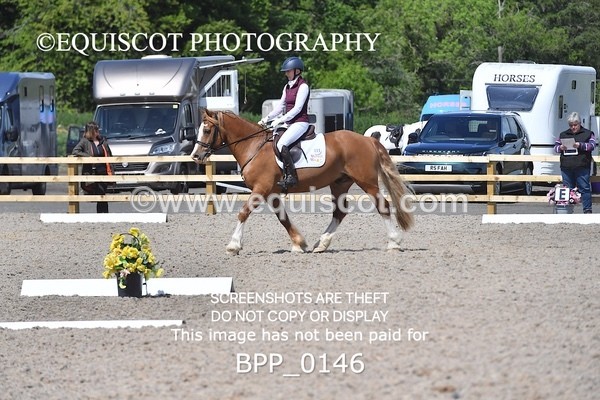 BPP_0146 - SHORT ARENA  MY QUEST PRELIM