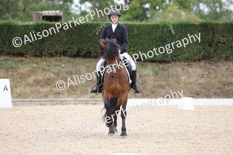 20250820-1101 - Class 17 - Elementary 4