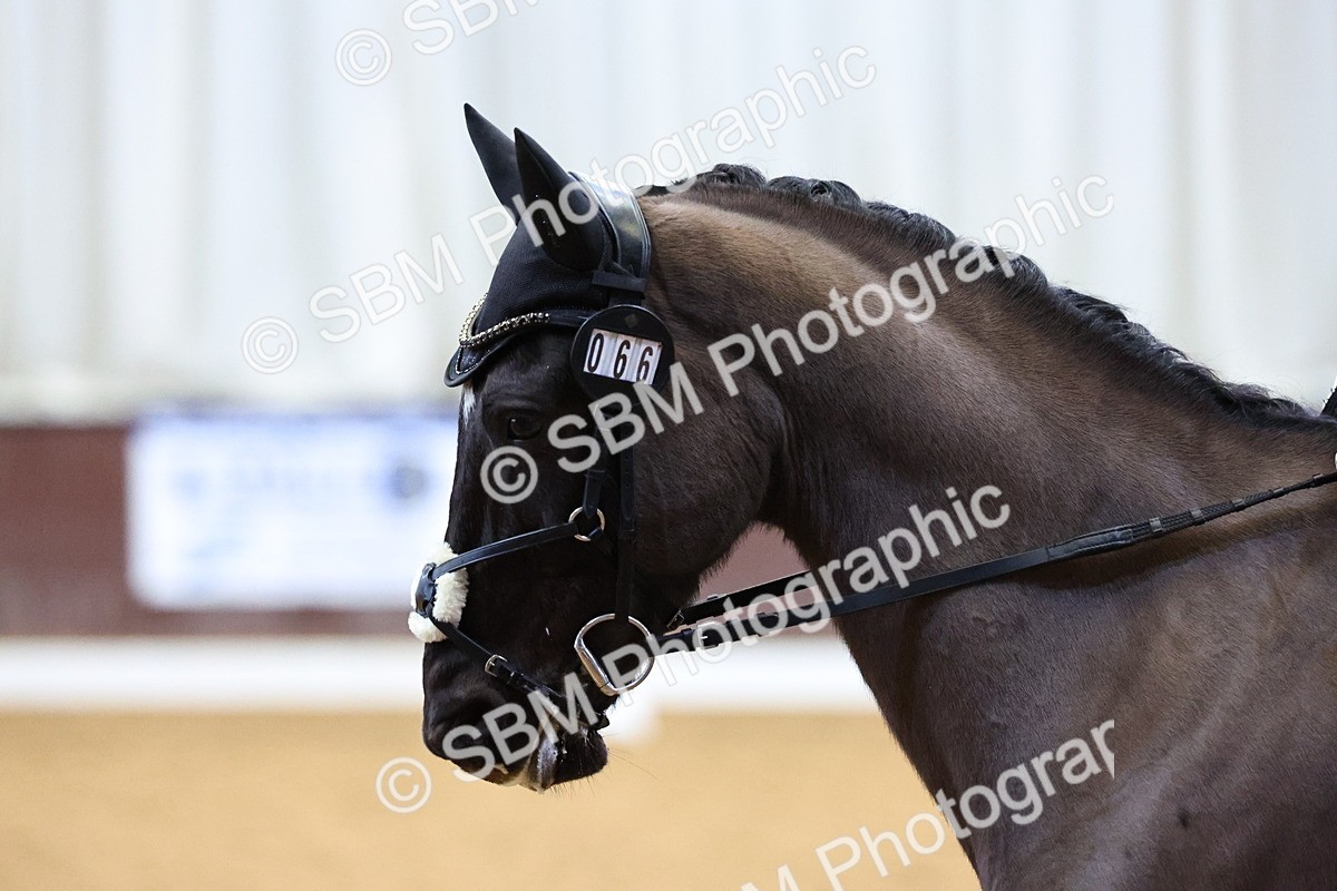 SBM_002114 - Class 15-17-19-21 - FSM