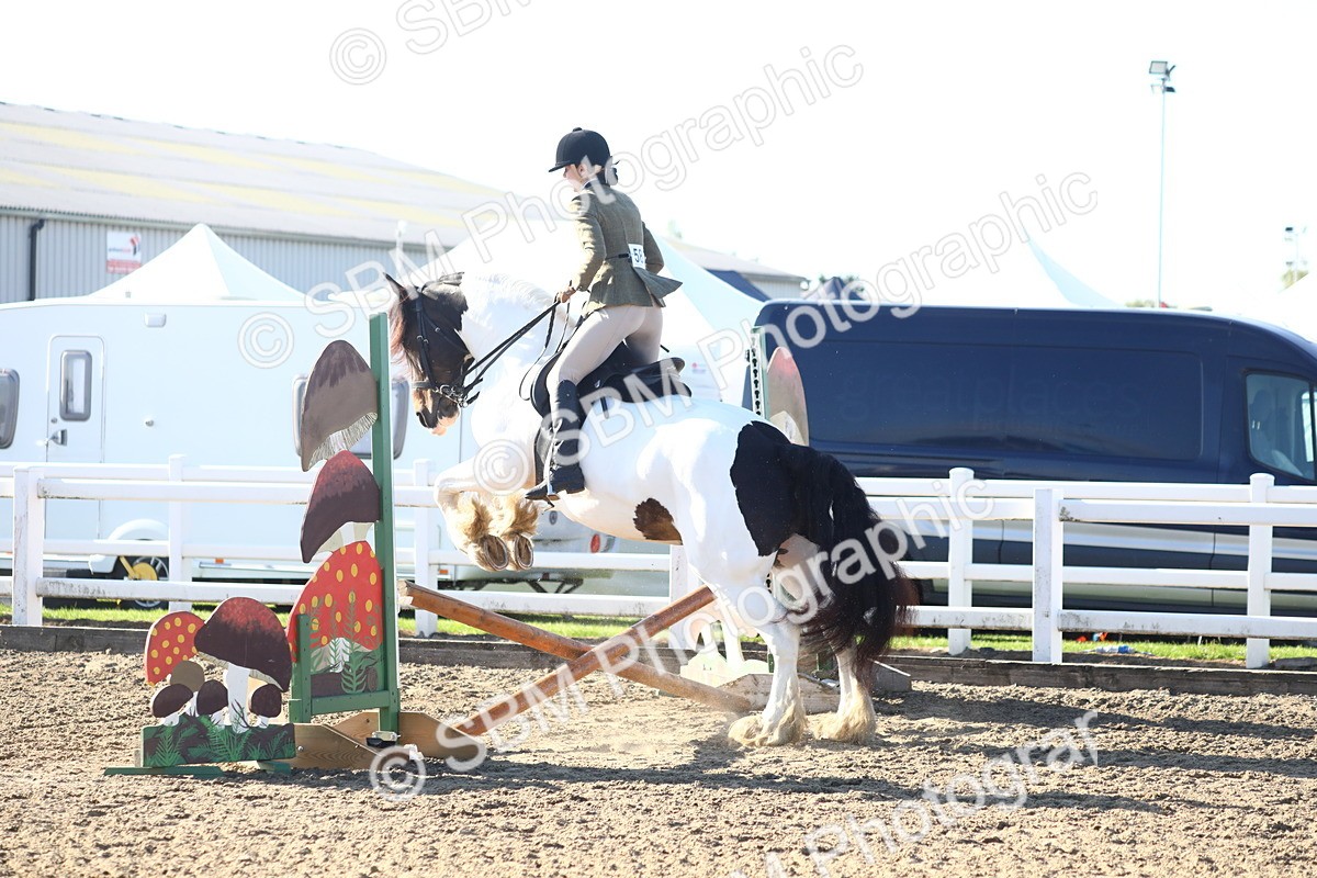 SBM_08582 - Class 502 - Riding Club Horse