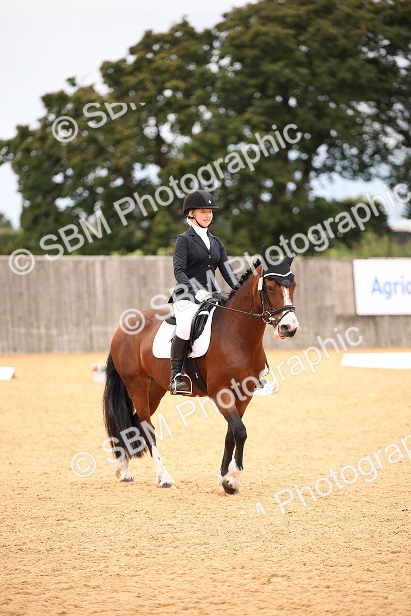 SBM_12237 - D3 Small  Tour Championship Intro A
