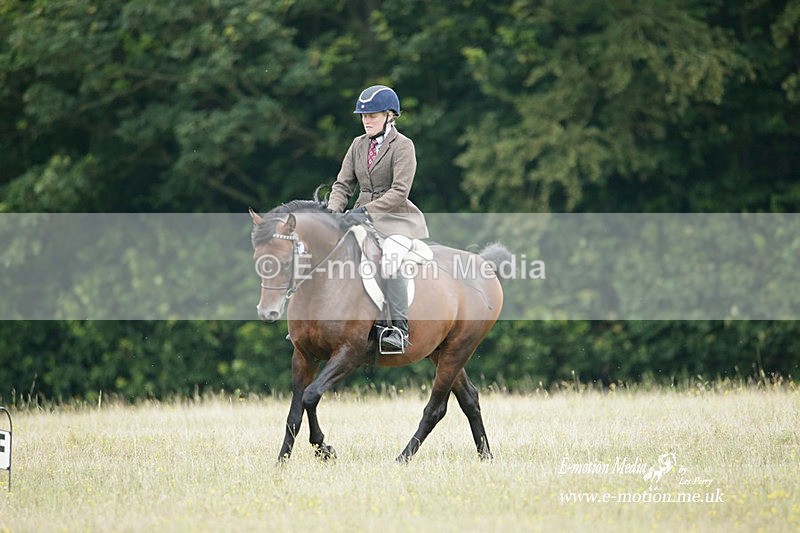 BVRC 030721 192 - Bourne Valley Riding Club Dressage 03/07/21