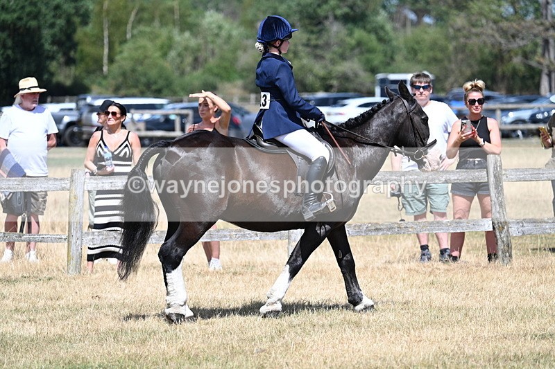 WJ7_3249 - Class 8 Ridden Veterans