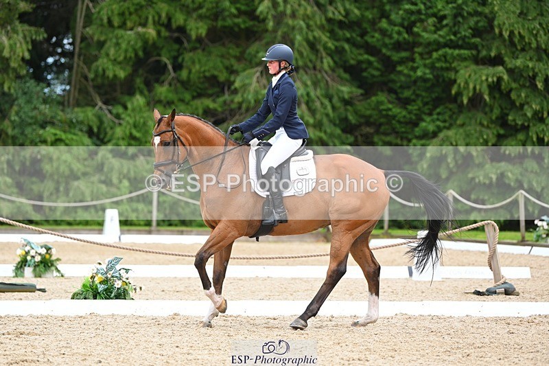 230813-133146-07591 - Cls 13 Medium Bronze 13.15 to End